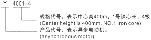 西安泰富西玛Y系列(H355-1000)高压YE2-355M1-10三相异步电机型号说明