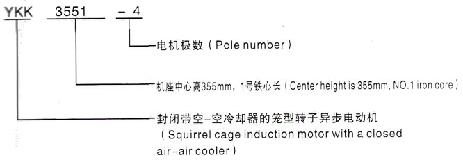 YKK系列(H355-1000)高压YE2-355M1-10三相异步电机西安泰富西玛电机型号说明