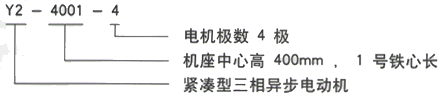 YR系列(H355-1000)高压YE2-355M1-10三相异步电机西安西玛电机型号说明